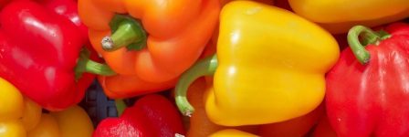 Best Foods for Healthy Skin: How Nutrition Affects Aging and Glow